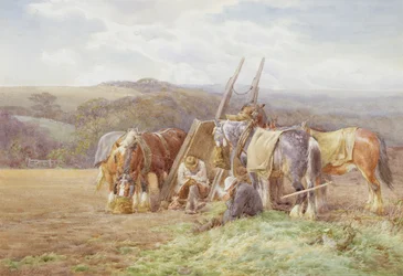 Rustend in het veld
